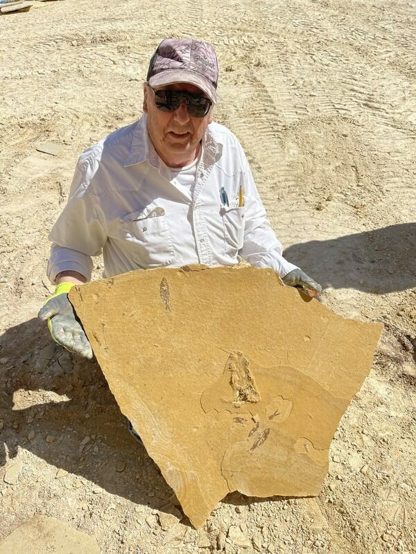 A photo of the skull right after it was discovered.